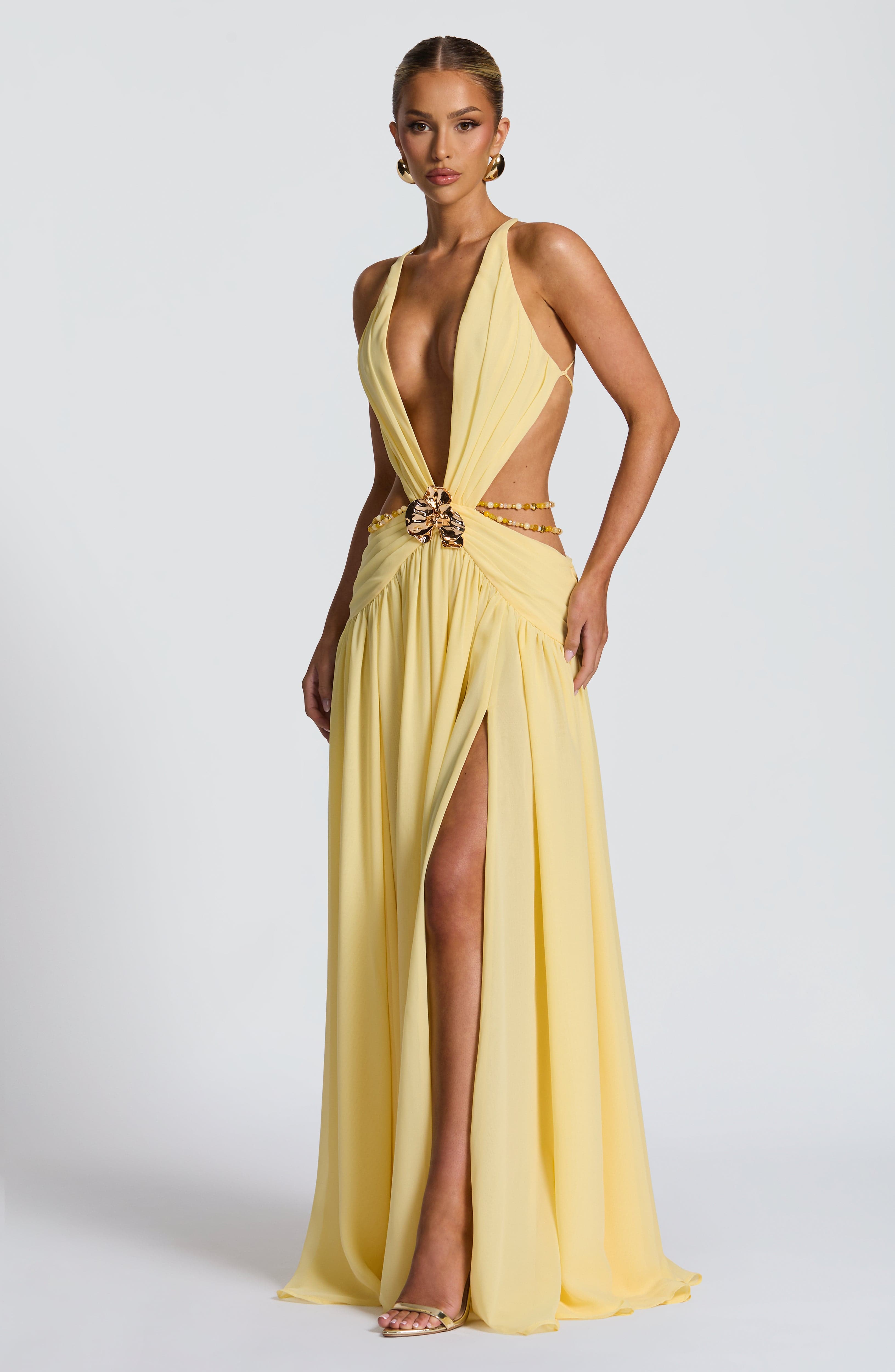 Anouk Maxi Dress